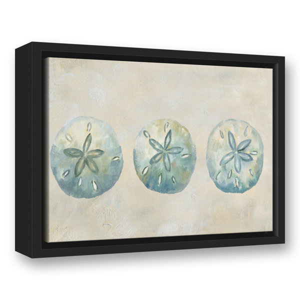 Dovecove " Sand Dollars " on Canvas Wayfair Canada